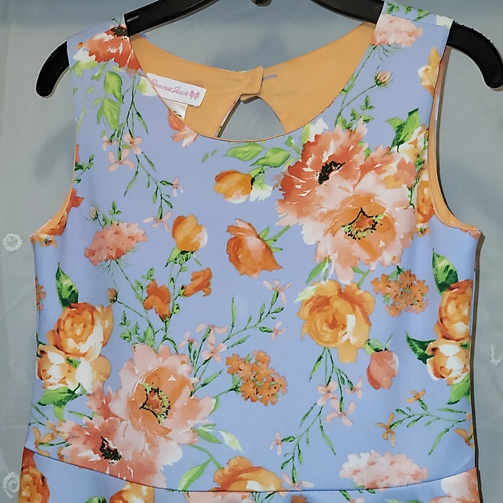 EUC Bonnie Jean dress - Picture 2 of 4
